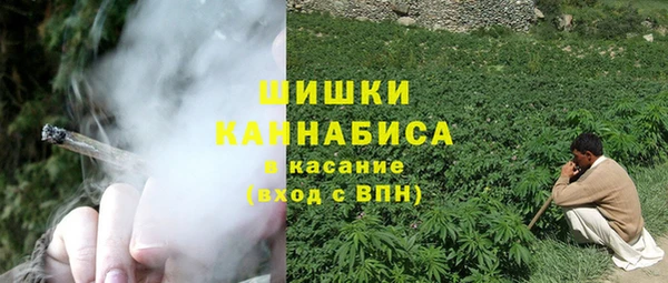 дмт Пестово