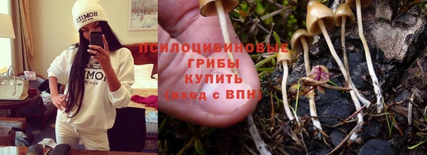 дмт Пестово