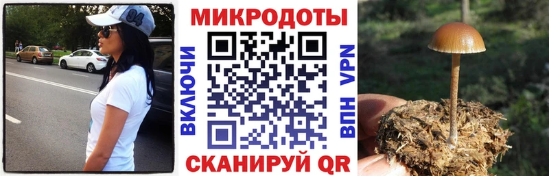 что такое наркотик  Кадников  мега ссылка  Галлюциногенные грибы GOLDEN TEACHER 